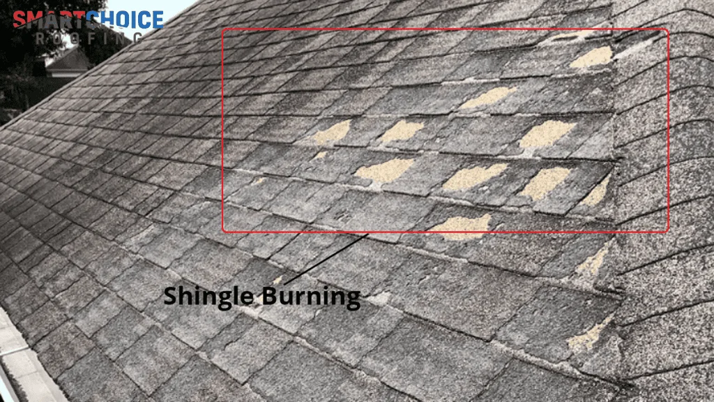 Roof shingles with visible burning damage.